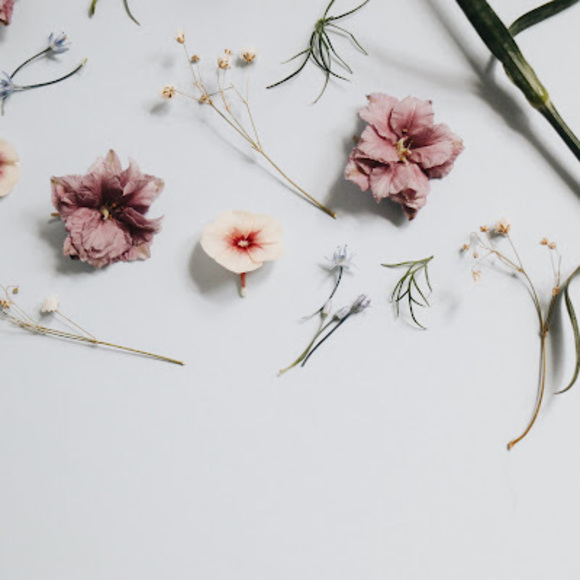 Meet your Posher, Jolin - Picture 1 of 1